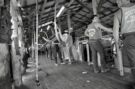 Steam Plains Shearing 022139  © Claire Parks Photography